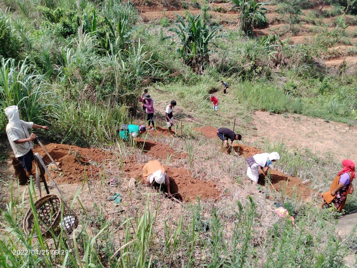 C:\Users\Lavinia Pde\Pictures\Camera Roll\IMG-20220713-WA0002.jpg